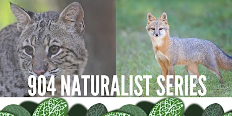 904 Naturalist Series ~ Exploring the Life of Mammals primary image