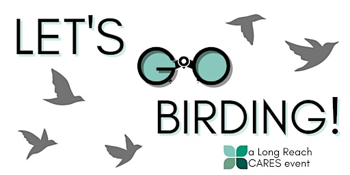 Image principale de Let's Go Birding!