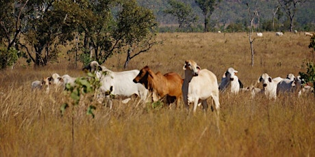 Alice Springs Producer Workshop  primary image