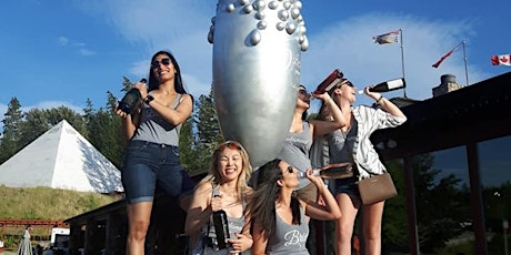 Kelowna Ladies Night Out: Kelowna Wine Tasting Tours with an appie. primary image