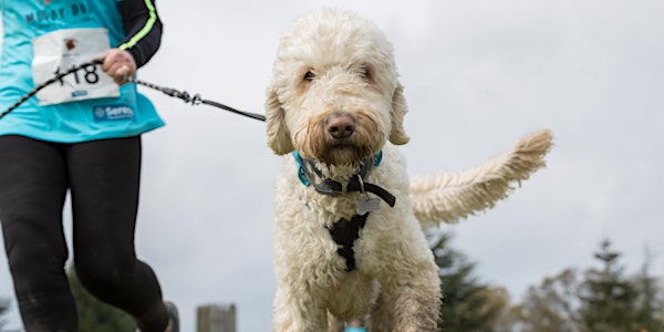 Muddy Dog Challenge Stansted - Saturday 19th September 2020