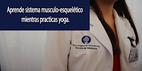 Aprende  sobre el sistema musculo-esquelético mientras practicas yoga primary image