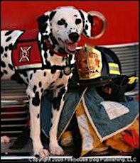 Firefighter Dayna & Molly the Fire Safety Dog @ Aurora Regional Fire Museum (2014) primary image