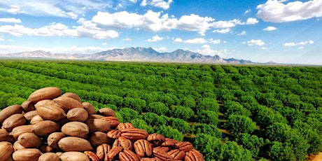 Green Valley Pecan Orchard Tour primary image