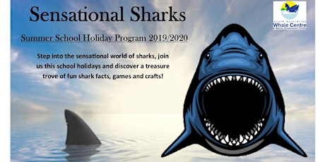 Sensational Sharks - School Holiday Program primary image