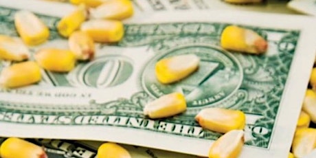New Hampton -  How to get $4 Corn:  Learn Crop Marketing From Start to Finish