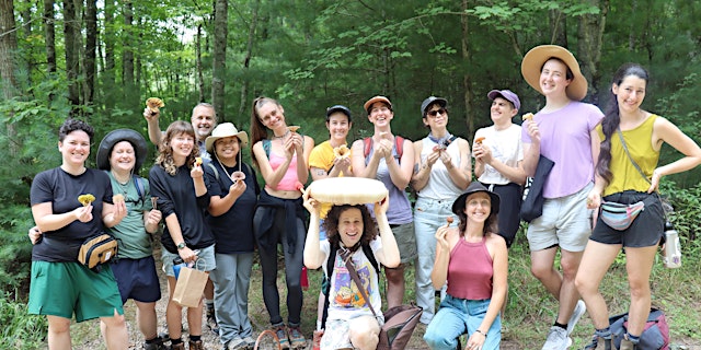 Imagem principal de Queer-Led Mushroom Forage