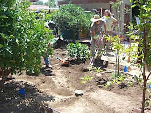 Establishing Rain Gardens: A Hands-On Permaculture Workshop primary image