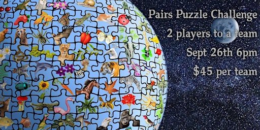 Image principale de Pairs Puzzle Challenge