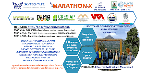 Marathon-X en el Nevado: Talleres de Negocios y Proyectos en Agrotecnología