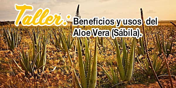 Taller: Usos y beneficios del Aloe Vera