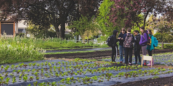 Growers to Sowers: Fresh Roots Urban Farm