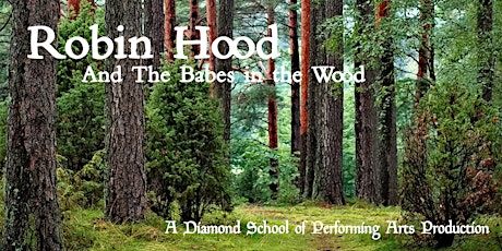 Robin Hood and the Babes In The Wood. A Diamond pantomime. Santa surprise! primary image