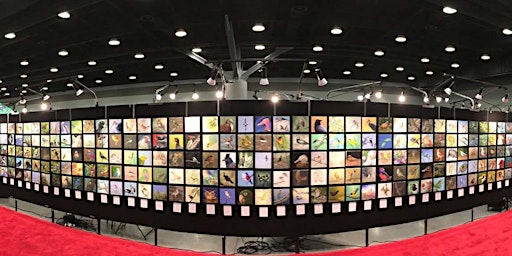 Edwardsville Il Festivals Eventbrite