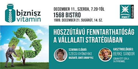 Decemberi BizniszVitamin, Kolozsvár - Hoszzútávú fenntarthatóság a vállalati stratégiában, Szécsi Gyöngyike, Coats primary image