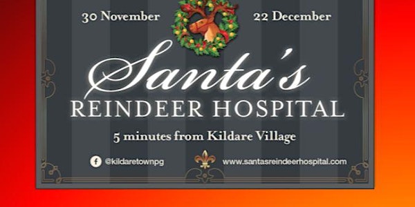 Santa's Reindeer Hospital (Weekend Tickets)