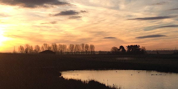 Big Farmland Bird Walk