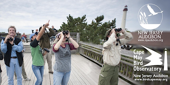  Above Par Birding at Cox Hall Creek image 