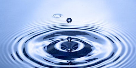 HR Ripple Effect -1 Day Training primary image