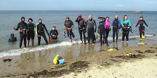 Introduction to Snorkelling : for beginners only 18 Jan 2020 - Beaumaris