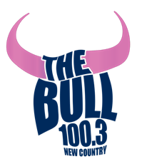 100.3 The Bull hosts Pinktober presented by Planet Ford primary image