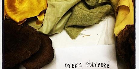 Natural Dyes: Plant + Principle primary image