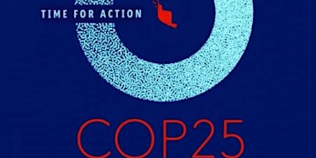 COP25 Review: What countries are doing about the climate crisis? primary image