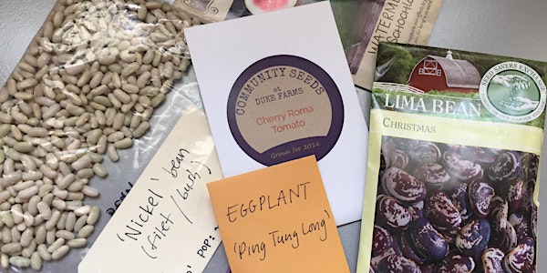 National Seed Swap Day 2020