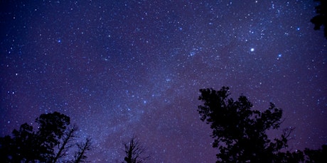 Winter Stargazing and Date Night primary image