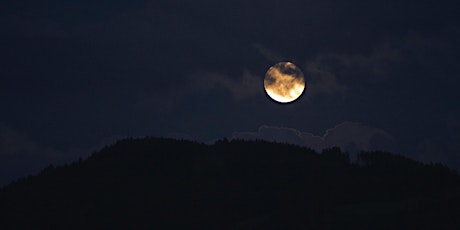 Pine Forest Full Moon Hike primary image