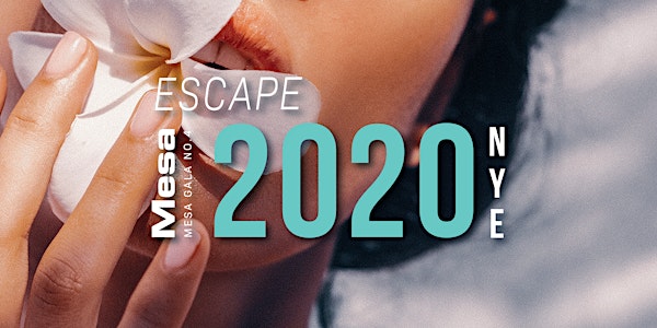 Escape to 2020- Mesa Gala No. 4