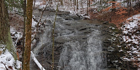 Snowshoeing in the Owens Falls Sanctuary primary image