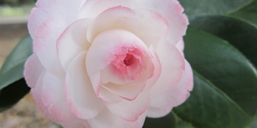 Slidell La Hobbies Class Events Eventbrite