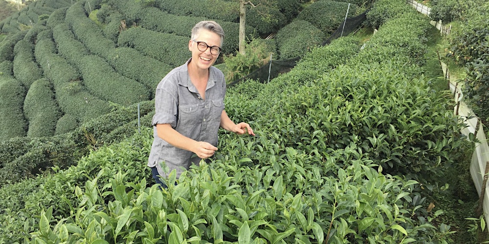 Tea 101 With The Steeping Room