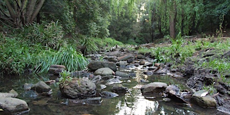 Binnamittalong Gardens Bushcare Volunteer Group meeting primary image