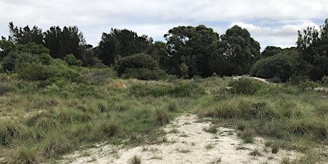 Sir Joseph Banks Park Bushcare Group Meeting primary image