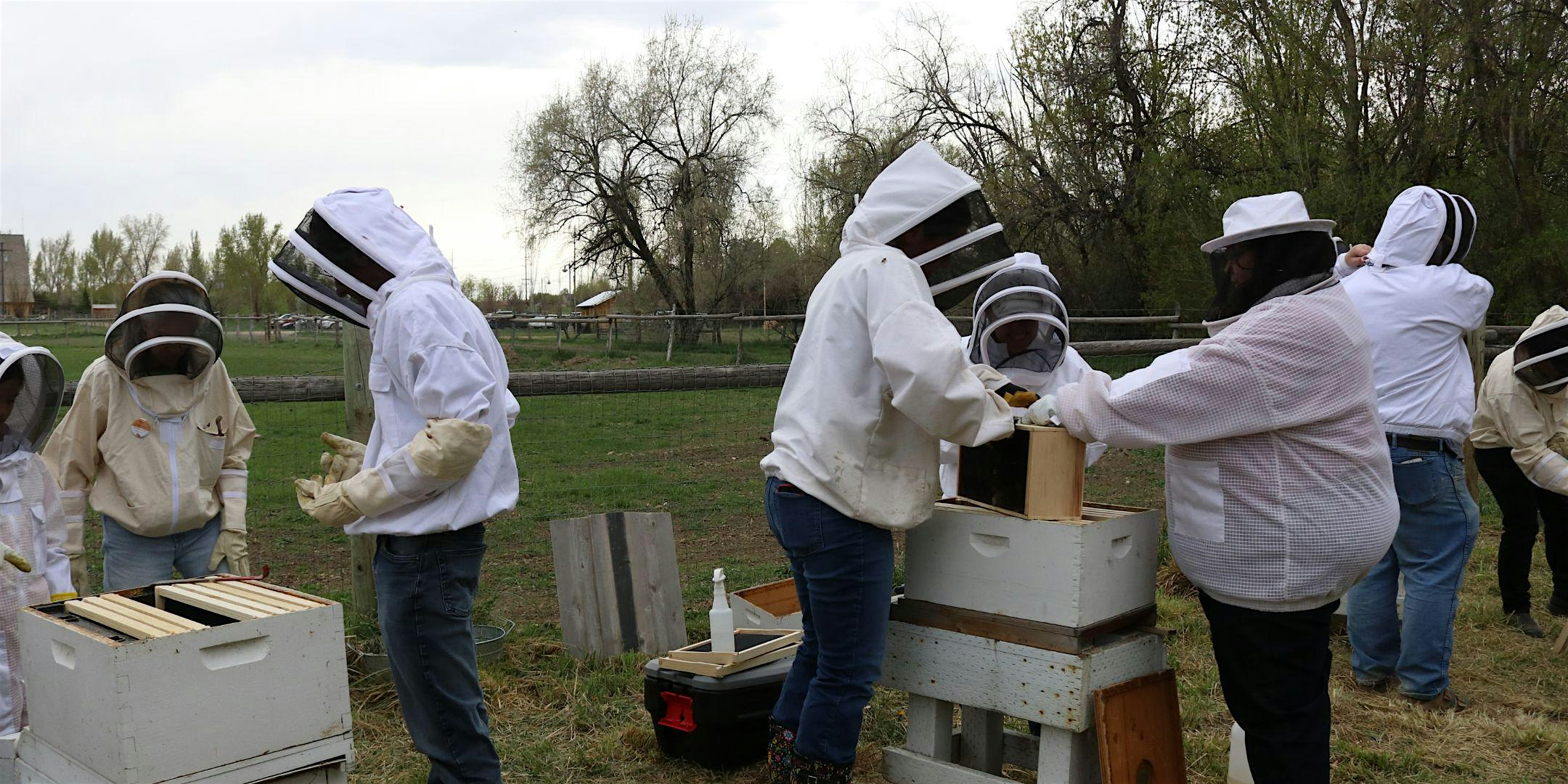Thriving Hive BEGINNING BEEKEEPING Series 2025