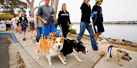 Paws on The Promenade - 2 February 2020  primary image