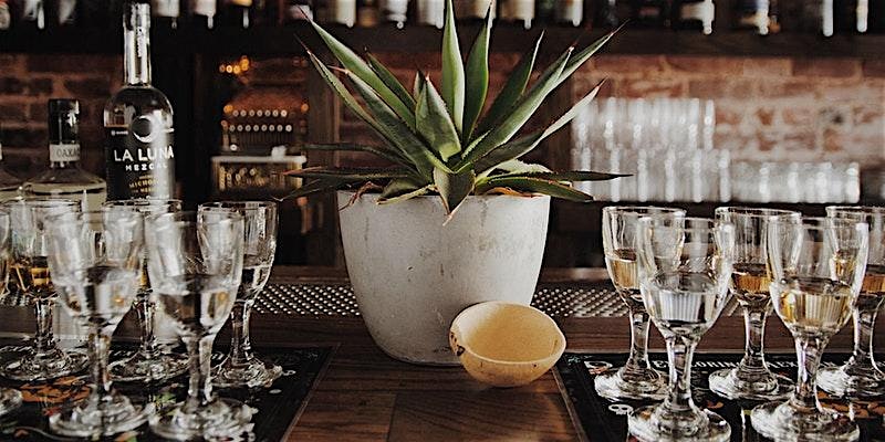 Agave Spirits - Exploring different spirits of Mexico