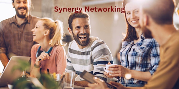 Synergy Networking Evening