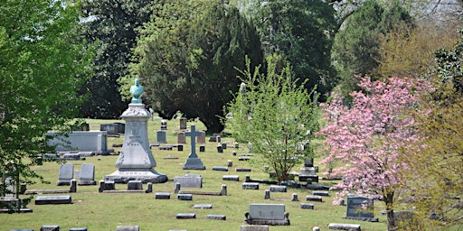 Lucinda Williams Events In Memphis Vereinigte Staaten Eventbrite