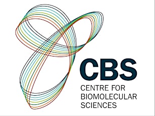 Meet the Team- Welcome to CBS primary image