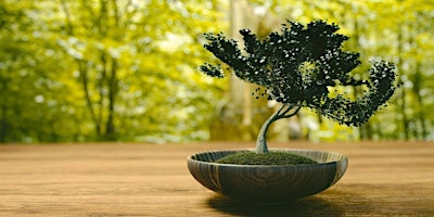 Bon-Chi! Learn and practice the art of Bonsai using edible plants!