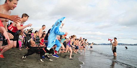 Smart Dolphins IT Solutions New Year's Day Polar Bear Swim primary image