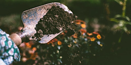 The "Dirt" on Soils, Fertilizers, and Mulches