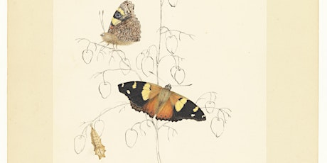 Paige Gleeson – “A butterfly, a tiger, an egg, a fowl, and eight spears” primary image