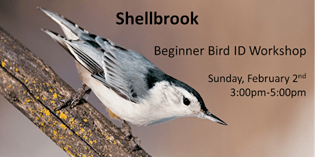Shellbrook - Beginner Bird ID Workshop primary image