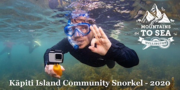 Kapiti Island Marine Reserve - Community Snorkel 2020