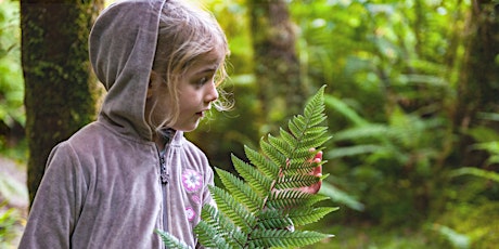 Rotorua hui primary image