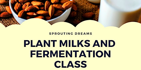 Plant Milks and Fermentation Class primary image